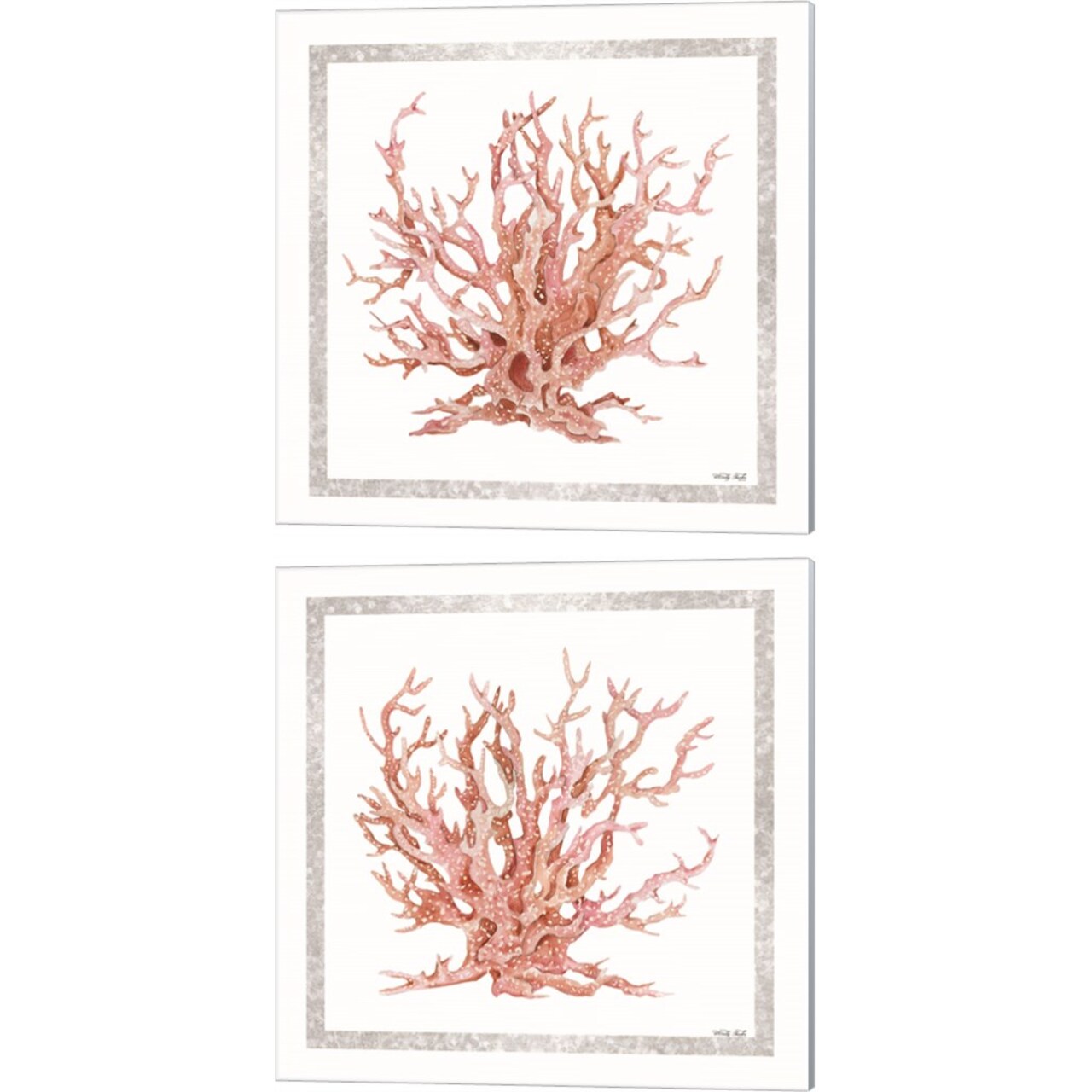 Pink Coastal Coral by Cindy Jacobs 14" x 14" Canvas Wall Art (Set of 2)